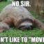 Stupid Sloth!