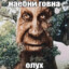 ЖИД