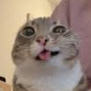 Foski - steam id 76561198873506032