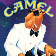 Camel Joe