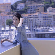 蓝桉已遇释怀鸟