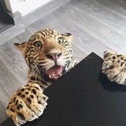 六了老六的老六