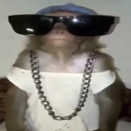 HarambePeek [LOS] avatar