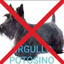 ANTI-POTOSINO
