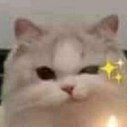 机智勇敢陈冷冷