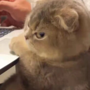 医保卡给你打飞