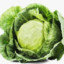 Cabbage