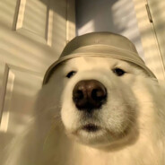 我才十六岁我真的好累