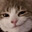 Ham