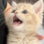 god magicdesu