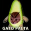 Gato Palta