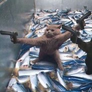 人菜枪马脾气大