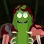 PickleRick