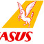 Pegasus airlines