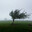 The Eastern Wind