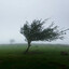 The Eastern Wind