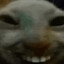 Triᛋᛋtan