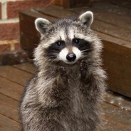 Ast0nix - steam id 76561198203093726