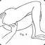 Pubic Symphysis