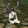 pure ( 0 aura )