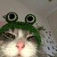 ilay