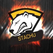 Stachu