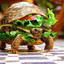 Sandwhichturtle