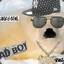 Bandzior SEAL