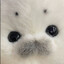 zoozoozaza
