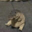 Felix