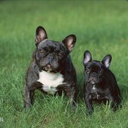 想赢不沟通-死了BBB-小丑