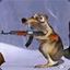 ScRaT