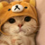 [CWN] CATKITIKET