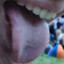 CACAXEPKA