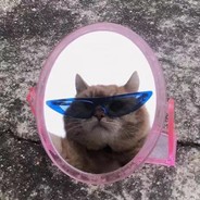 重生之马铃薯教母