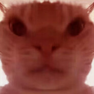 性感白袜小南娘