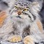 MANUL