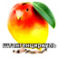Avatar of player паркур 27