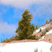 mattybj14