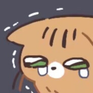 谁家小猫不睡觉