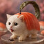 Pussini Sushini