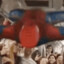 Horny Spiderman