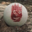 WILSON