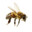 BEES!'s Avatar