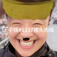 王子铭实名上网