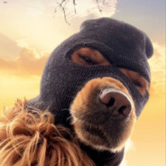 青青草原懒羊羊