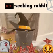 treat-seeking rabbit