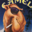 Joe Camel