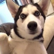 小朋友你是否有很多？