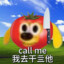 bbz大王
